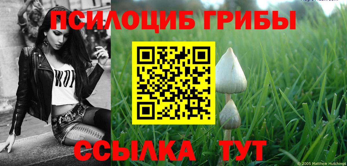 Искитим  Галлюциногенные грибы ЛСД  Вход с VPN 
