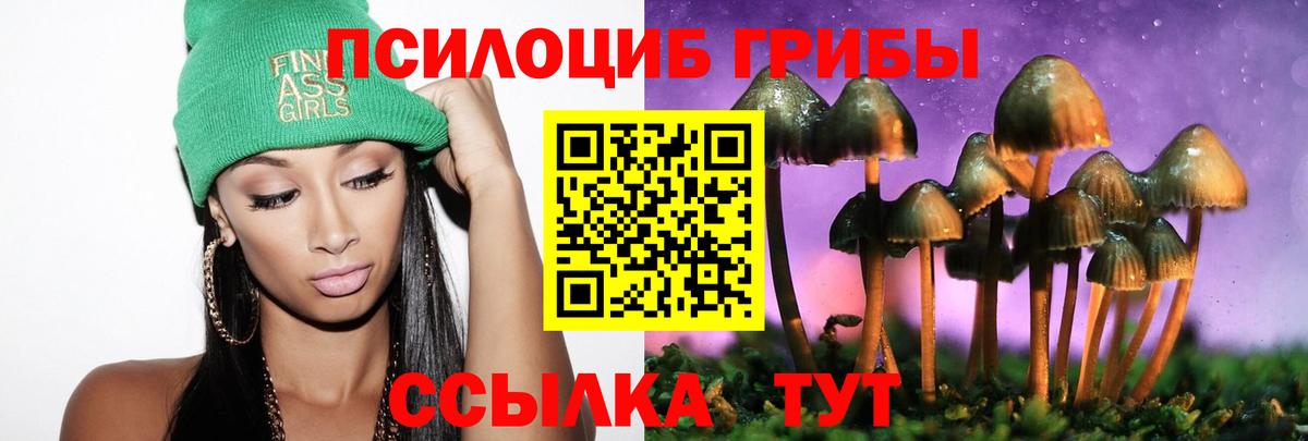 Галлюциногенные грибы Cubensis Искитим