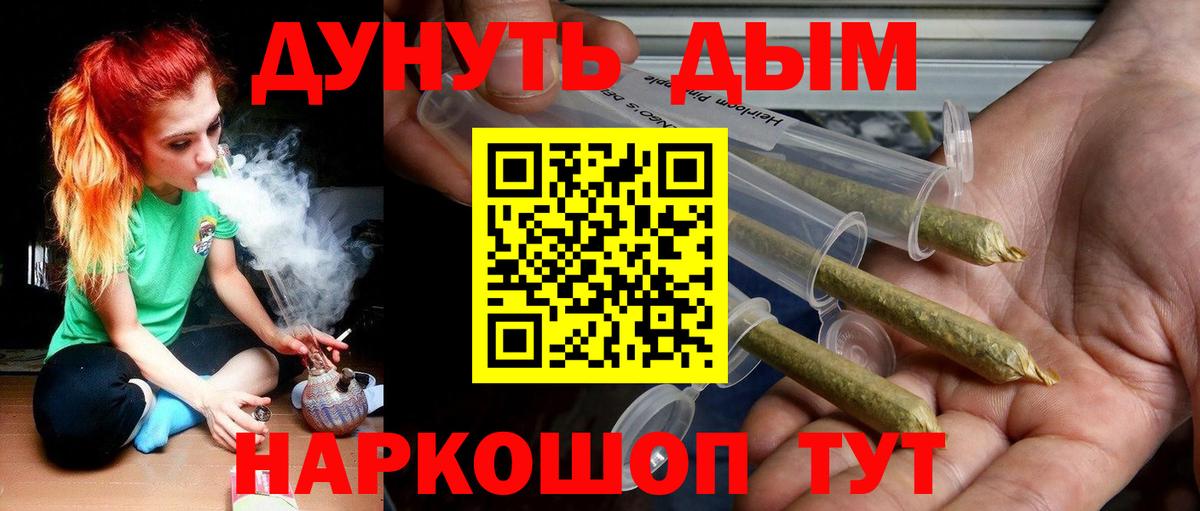 Бошки Шишки планчик Искитим